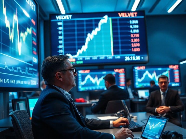 محافظ فريق "فيلفيت كابيتال" تصرف 20 مليون دولار من عملات VELVET بعد ارتفاع 10 أضعاف