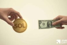 سولانا تتفوق على كوين بيز وكراكن في الحجم – ماذا يعني ذلك لسهم SOL في الربع الثالث