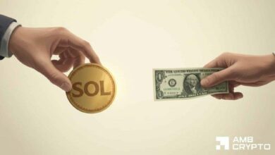 سولانا تتفوق على كوين بيز وكراكن في الحجم – ماذا يعني ذلك لسهم SOL في الربع الثالث