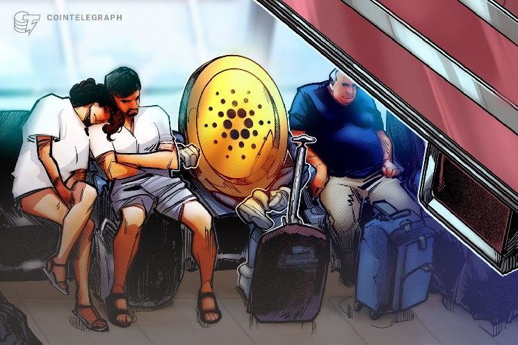 بطاقات كاردانو "تاب تولز" تتوقف عن العمل بعد استقالة 5 من كبار المسؤولين