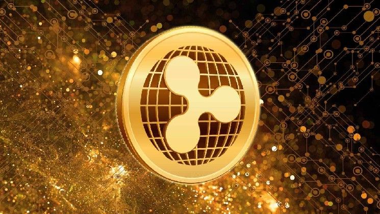 لست متفائلاً بما يكفي: مسؤول في ريبل يتوقع طفرة في المدفوعات الرقمية