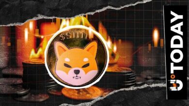 1,535,066 شيب محروقة ولكن معدل حرق Shiba Inu ينخفض بنسبة 43%