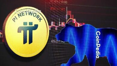 ما الجديد في باي نتورك قبل يوم باي: توكن اختبار SLICE ومنصة الإطلاق وتحديث السعر