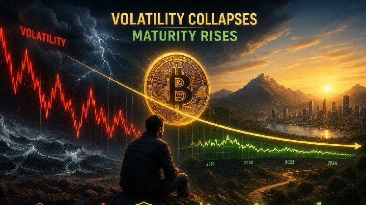 تقلبات البيتكوين تنهار: ترايس ماير يشرح لماذا يدل ذلك على نضج السوق