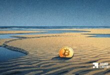 طلب البيتكوين يصل إلى مستويات نادرة قصوى – هل تقترب BTC من القاع أم...