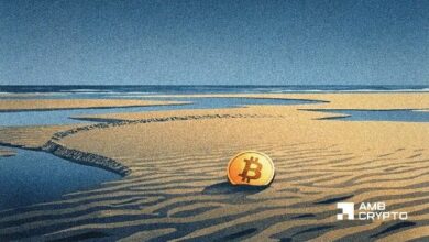 طلب البيتكوين يصل إلى مستويات نادرة قصوى – هل تقترب BTC من القاع أم...