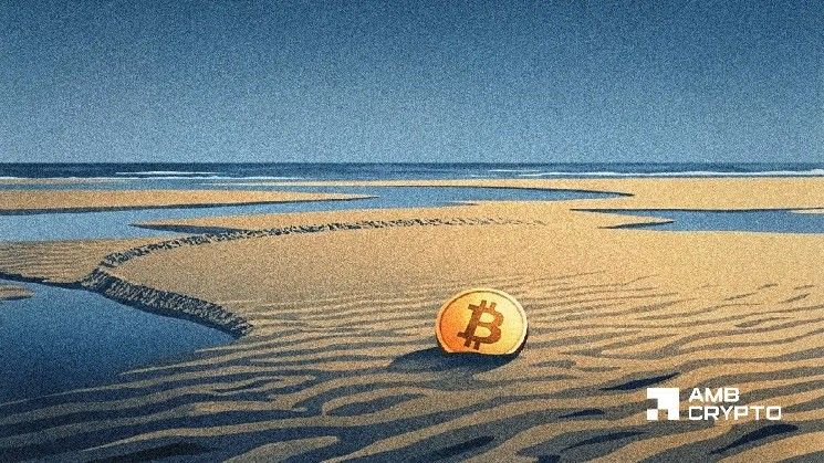 طلب البيتكوين يصل إلى مستويات نادرة قصوى – هل تقترب BTC من القاع أم...
