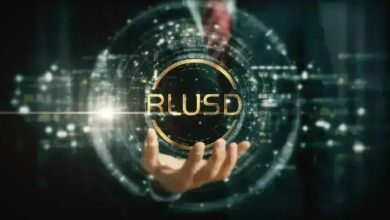 أكثر من 3 أضعاف النمو: نشاط RLUSD على XRPL يسلط الضوء على التحول نحو التمويل الواقعي