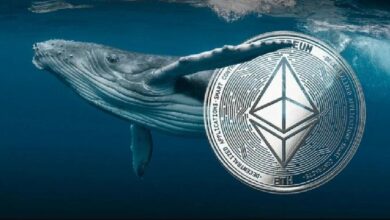 حيتان إيثريوم ينتظرون 8 سنوات يبدؤون البيع! إليكم أرباحهم الضخمة