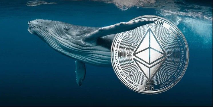 حيتان إيثريوم ينتظرون 8 سنوات يبدؤون البيع! إليكم أرباحهم الضخمة