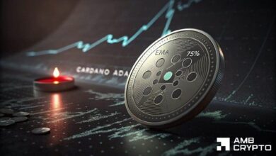 كاردانو: 75% من تعرض ADA لصفقات البيع – هل تهتز الثقة؟
