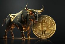 **سكاراموتشي ونوفوغراتز يتوقعان عودة بيتكوين إلى 70 ألف دولار قريباً**
