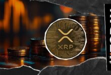25,240,000 XRP تغادر البورصات بعد تدفق مفاجئ يباغت المتداولين