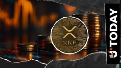 25,240,000 XRP تغادر البورصات بعد تدفق مفاجئ يباغت المتداولين