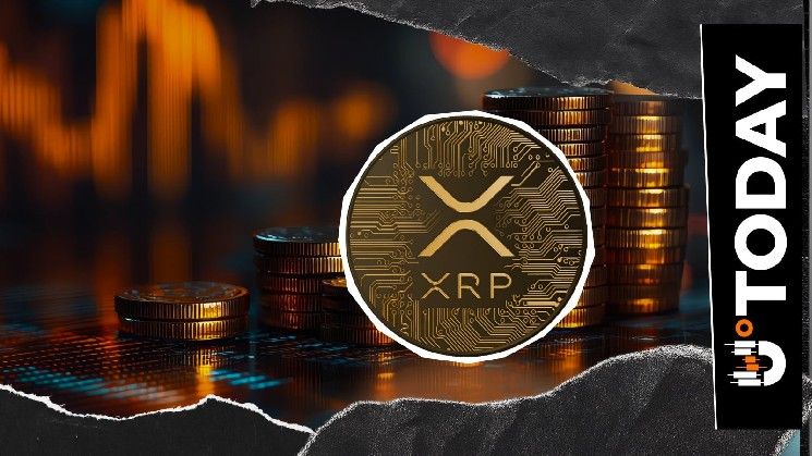 25,240,000 XRP تغادر البورصات بعد تدفق مفاجئ يباغت المتداولين