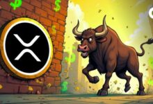 تدفقات تبادل XRP تشير إلى صراع مستمر بين المضاربين على الصعود والهبوط