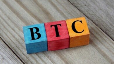 إيداعات "Yield Basis" تقفز 120% في أسبوعين مع سعي المستثمرين لعوائد البيتكوين دون بيع