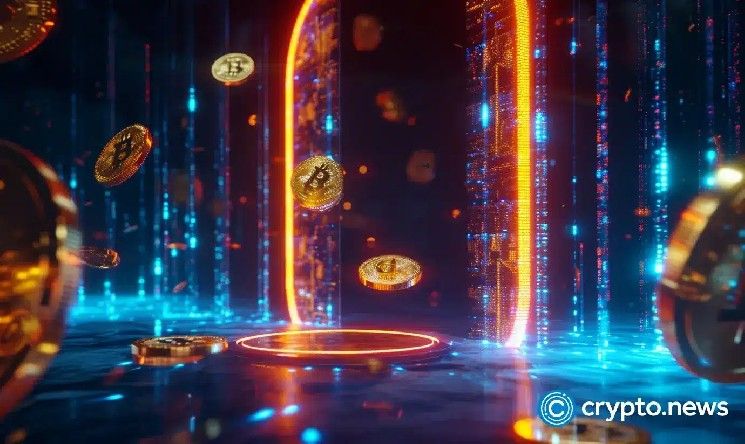 مايكل سيليج يرسم خطًا فاصلًا بين العقود الدائمة للعملات الرقمية وعقود الذرة الآجلة