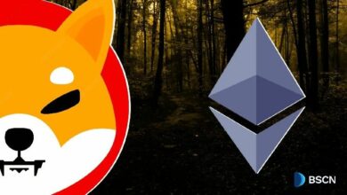 كيف تعمل Shibarium كشبكة طبقة ثانية لـ Shiba Inu على إيثريوم