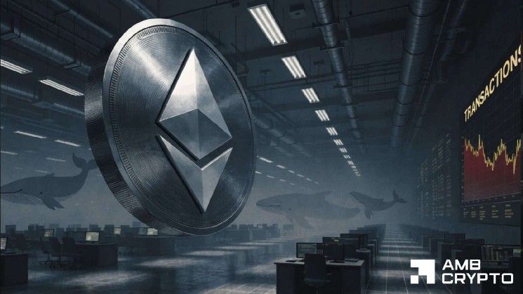 نشاط حيتان الإيثيريوم يهبط 86% – هل يستطيع ETH استعادة 1,800 دولار؟