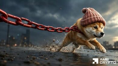 ارتفاع "dogwifhat" بنسبة 16% – لكن مقاومة ضخمة تعترض طريق WIF نحو المزيد من المكاسب