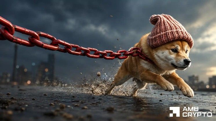 ارتفاع "dogwifhat" بنسبة 16% – لكن مقاومة ضخمة تعترض طريق WIF نحو المزيد من المكاسب