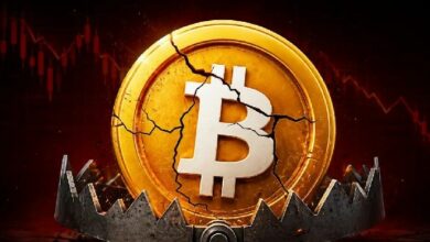 عاجل: تشاو تشانغبينغ من بينانس يؤكد أن البيتكوين لن يموت "لفترة طويلة" مع انهيار السعر مجددًا اليوم