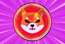 عنوان مترجم: احتياطيات Shiba Inu (SHIB) تتعافى إلى 80 تريليون بعد طفرة تدفق مفاجئة بنسبة 600%