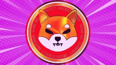 عنوان مترجم: احتياطيات Shiba Inu (SHIB) تتعافى إلى 80 تريليون بعد طفرة تدفق مفاجئة بنسبة 600%