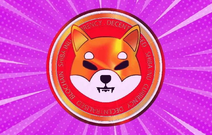 عنوان مترجم: احتياطيات Shiba Inu (SHIB) تتعافى إلى 80 تريليون بعد طفرة تدفق مفاجئة بنسبة 600%