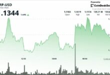 إكس آر بي يستقر فوق 1.10 دولار ليرتد من أدنى مستوياته في أربعة أشهر
