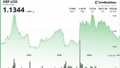 إكس آر بي يستقر فوق 1.10 دولار ليرتد من أدنى مستوياته في أربعة أشهر