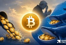 هل يمكن لحيتان البيتكوين إنقاذه بعد خروج 4.06 مليار دولار من صناديق الاستثمار المتداولة؟