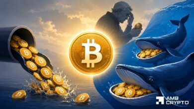 هل يمكن لحيتان البيتكوين إنقاذه بعد خروج 4.06 مليار دولار من صناديق الاستثمار المتداولة؟