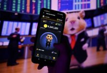 سعر هامستر كومبات (HMSTR) يقفز بنسبة 47% في يوم واحد: إليك سبب ارتفاع العملة المشفرة