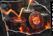 حرق 4 دولارات فقط من SHIB: ما وراء انخفاض 72%؟