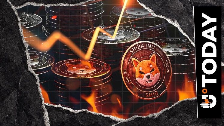 حرق 4 دولارات فقط من SHIB: ما وراء انخفاض 72%؟