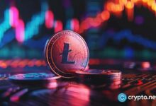 حيتان اللايتكوين تجمع العملة مع عودة الجدل حول LitVM ليضع LTC في دائرة الضوء
