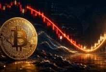 ويس للعملات المشفرة: أقرب فرصة لشراء البيتكوين منذ سنوات قد تكون وشيكة