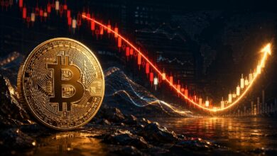 ويس للعملات المشفرة: أقرب فرصة لشراء البيتكوين منذ سنوات قد تكون وشيكة