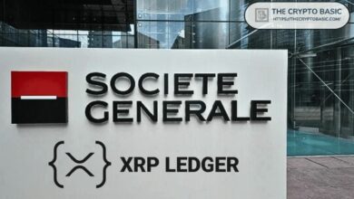 إيفرنورث: البنوك الحقيقية تستخدم XRP بالفعل، والتركيز الآن ينصب على النمو خلال الـ18 شهرًا القادمة