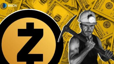كيف يؤثر تنصيف زيكاش على أرباح المعدنين والعرض طويل الأجل؟