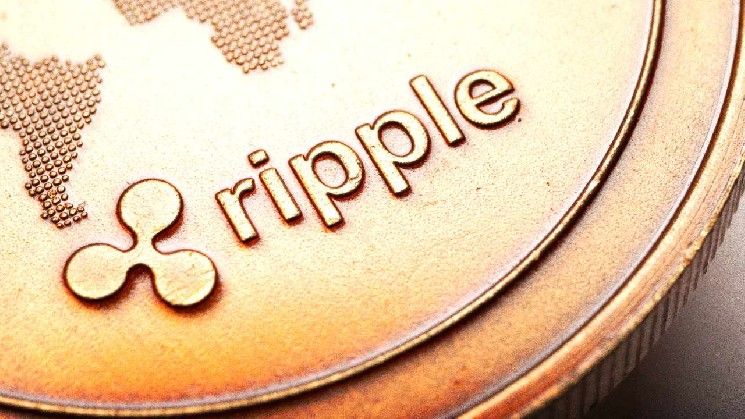 **شوارتز من ريبل يسلط الضوء على حالات استخدام XRP قبل أكبر حدث "سويل" على الإطلاق**