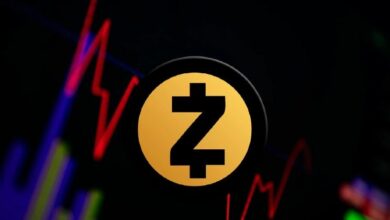 زيكاش آيرونوود: التوقعات وحل أكبر الجدل