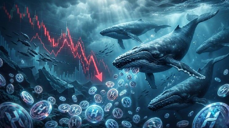 عناق الحيتان لتجميع HYPE أثناء تراجع السوق