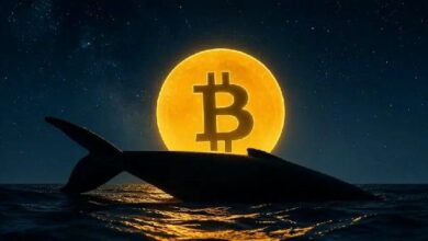 حوت يستسلم: يبيع كل البيتكوين التي جمعها العام الماضي بخسارة – إليك متوسط سعر الشراء وحجم الخسارة