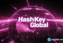 هاشكي تقفز 10% بعد الموافقة على إعادة شراء أسهم بقيمة 100 مليون دولار هونغ كونغ