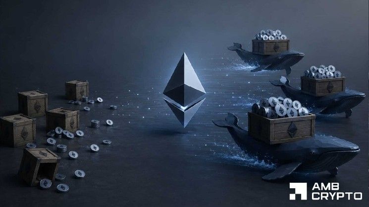 نشاط التجزئة في إيثريوم يتراجع مع تراكم المؤسسات – هل يتحول الطلب؟
