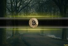 هل هذا هو السبب الخفي وراء انهيار البيتكوين إلى 23 ألف دولار في 6 أسابيع فقط؟