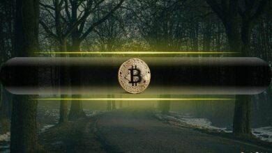 هل هذا هو السبب الخفي وراء انهيار البيتكوين إلى 23 ألف دولار في 6 أسابيع فقط؟